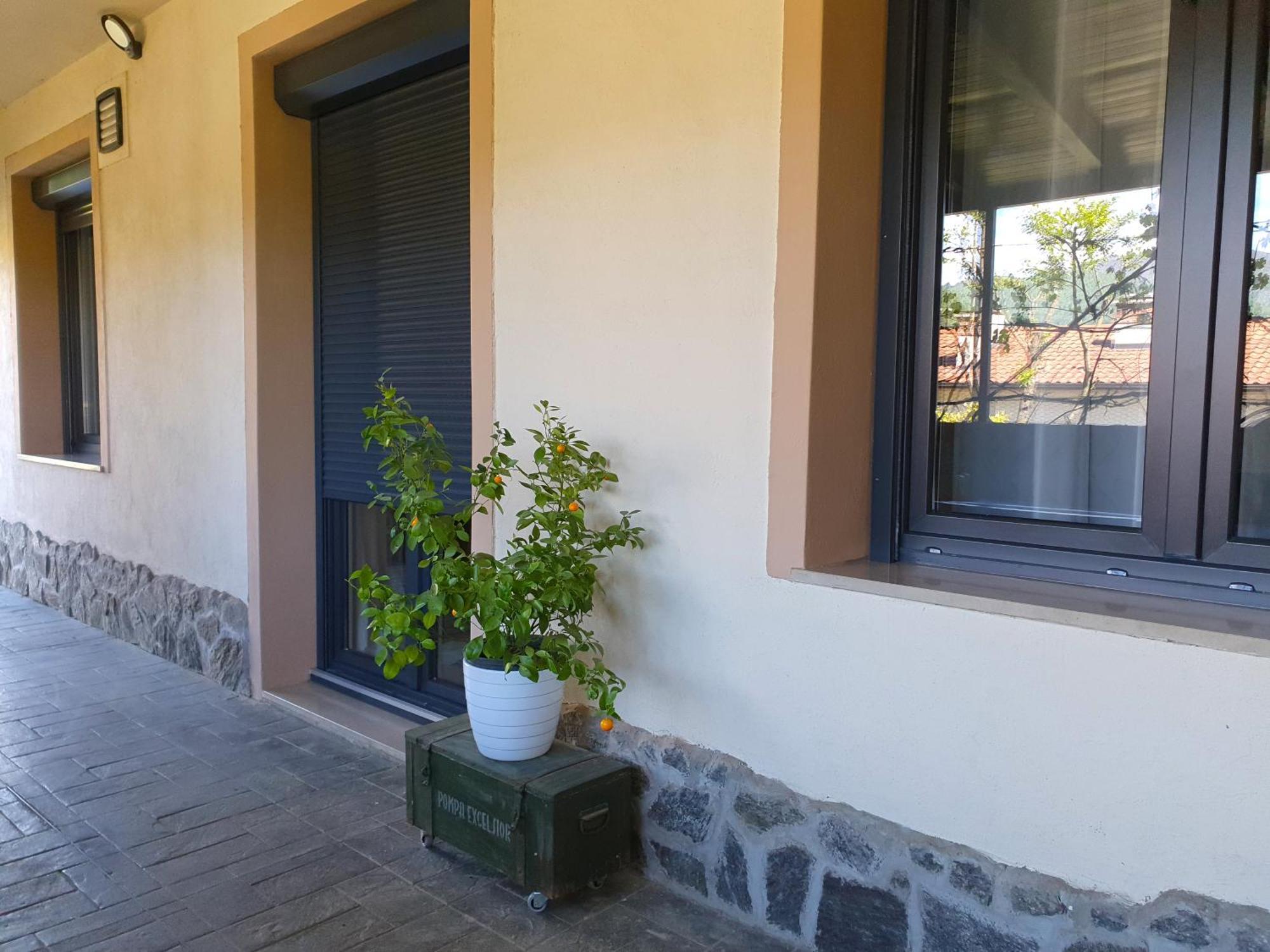 Apartment With Terrace Nona Pavla Tolmin Exteriér fotografie